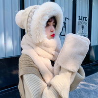 Cute Wool Knitted Hat With Warm Ear Protection
