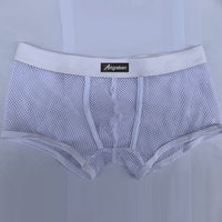 Men's Underwear Mesh Breathable Boxers Transparent