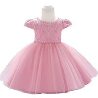Lace Mesh Princess Tulle Tutu Dress