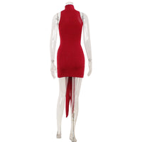 Fashionable Minimalist And Slim Fit Womens Dress