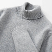 Men's Versatile Knitted Turtleneck Solid Color With Fur Sweater