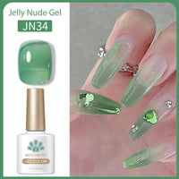 Nail Polish Transparent Color UV Polish Jelly Phototherapy Plastic