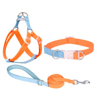 Polyester Ribbon Dog Collar Pet Hand Holding Rope