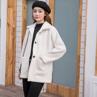 New Korean Casual Fur Coat With Thickened Velvet And Warmth