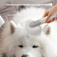 Pet Comb Cat Dog Negative Ion Sterilization Floating Hair Brush Electric Massage