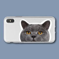 Compatible with Apple , Mobile Phone Creative Transparent Cat Printing Protective Cover
