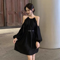 Stylish Relaxed-fit Long-sleeve Dress For Women