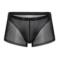 Thin Men's Mesh Translucent High Elastic Low Waist Panties