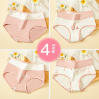Women's Antibacterial Cotton Underwear