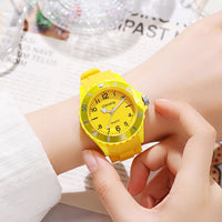 Color Jelly Junior High School And Elementary School Students In Niche Watch
