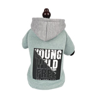 Letter Print Hooded Sweatshirt