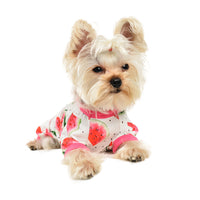 Fashion Dog Watermelon Printing Four-legged Jumpsuit
