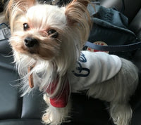 Dog Sweatshirt Letter Figure Fashion Embroidery