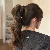 Elegant Sophisticated Bun-style Ponytail Clip For The Back Of The Head