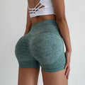 Three Points Fitness Sports Pants Female