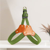 Dog Breast Collar Small Dog Bichon Dog Hand Holding Rope