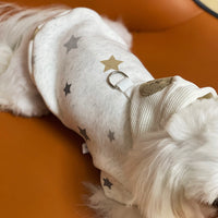 Fashion Casual Pet Teddy Clothes