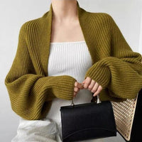 Knitted Cardigan Coat Female Batwing Sleeve Sweater Short Temperamental