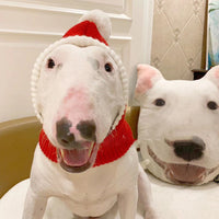Fashion Simple Pet Autumn And Winter Woolen Hat