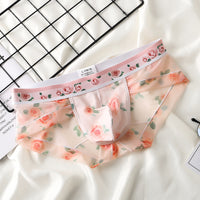 Fashion Transparent Mesh Boys Underwear Printing