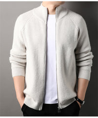 Mens Casual All-match Stand-up Collar Cardigan Sweater