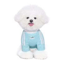 Schnauzer Small Dog Pet Cat Clothes Thin