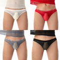 Men's Plus Size See-through Sexy Briefs