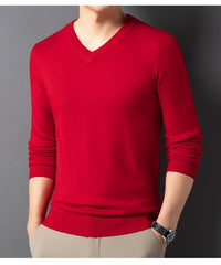 SpringAutumn Sweater V-Neck Top Men's