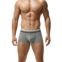Gradient Stripes Belt Low Waist Cotton Thin Boxer Briefs