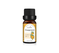 Plant Unilateral Skin Care Massage Aromatherapy Fragrant Stone Aromatherapy Oil