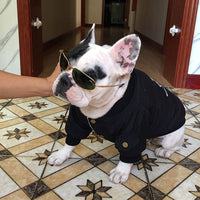 Dog Winter Clothes Padded Warm Jacket Plus Velvet