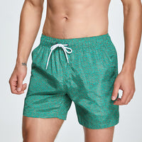 Men's Beach Pants Summer Quick-drying Breathable