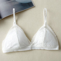 Lace Sexy Bra French Triangle Cup Opaque Single-breasted