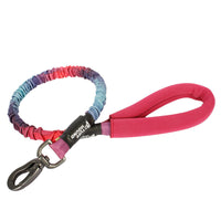 Bianmu Golden Retriever Medium Dog Walking Rope