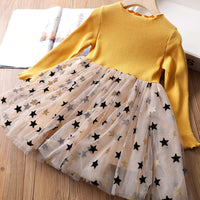 Girls Fashion Lace Embroidered Mesh Dress