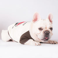 Clothes Pet Teddy Dog Fighting Two Leggings