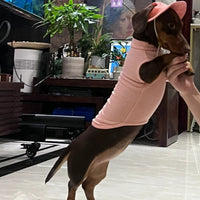 Pet Fashion Waffle Pure Cotton Vest