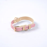 Leather Pet Dog Leash Collar Set