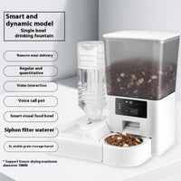 Double Bowl Intelligent Surveillance Video Feeder Timing Quantitative