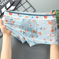 Summer Breathable Thin Transparent Boxers