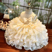 Affordable Luxury Birthday Princess Dress Performance Gown Wedding Flower Girl Dress