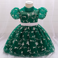 Children's Dress Princess Dress Embroidered Mesh Puffy One Year Old Celebration