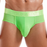 Men's Underwear Briefs Mesh Breathable Sports
