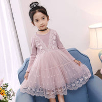 Girls Fashion Lace Embroidered Mesh Dress