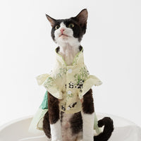Chinese Style Panda Bamboo Leaf Couple Dress Hairless Cat Skirt