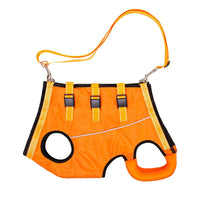 Elderly And Disabled Dogs Auxiliary Belt Auxiliary Clothing