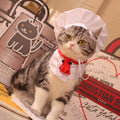 Hat Scarf Pet Changing Outfit