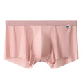 Men's Mesh Underwear Men's Ice Silk Boxer Summer Thin Breathable Boxers Seamless Youth Pants Men