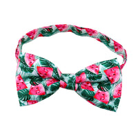 Fruit Pet Small Bow Tie Cactus Dog Cat Decorations