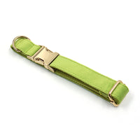 Simple Matcha Green Velvet Dog Collar